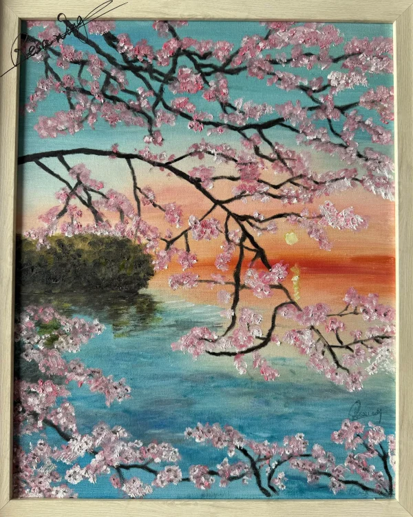 《粉樱沐光》 Cherry Blossoms Bathing in Light
